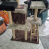 Gimnasio Big